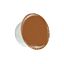 Lieskov\u00FD\u0020Cappuccino\u0020\u002D\u0020Senso\u0020Nocturno