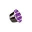 Lungo\u0020Forte\u0020\u002D\u0020Caf\u00E9\u0020Ren\u00E9\u0020